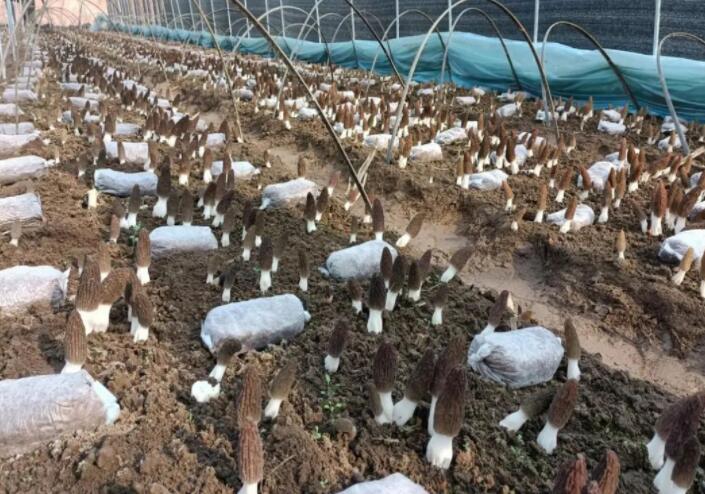 QQ截圖20221121142325.jpg QQ截圖20221121142325.jpg